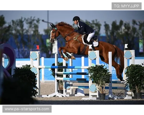 国际马术生死一瞬间，骑手救马精彩一跃